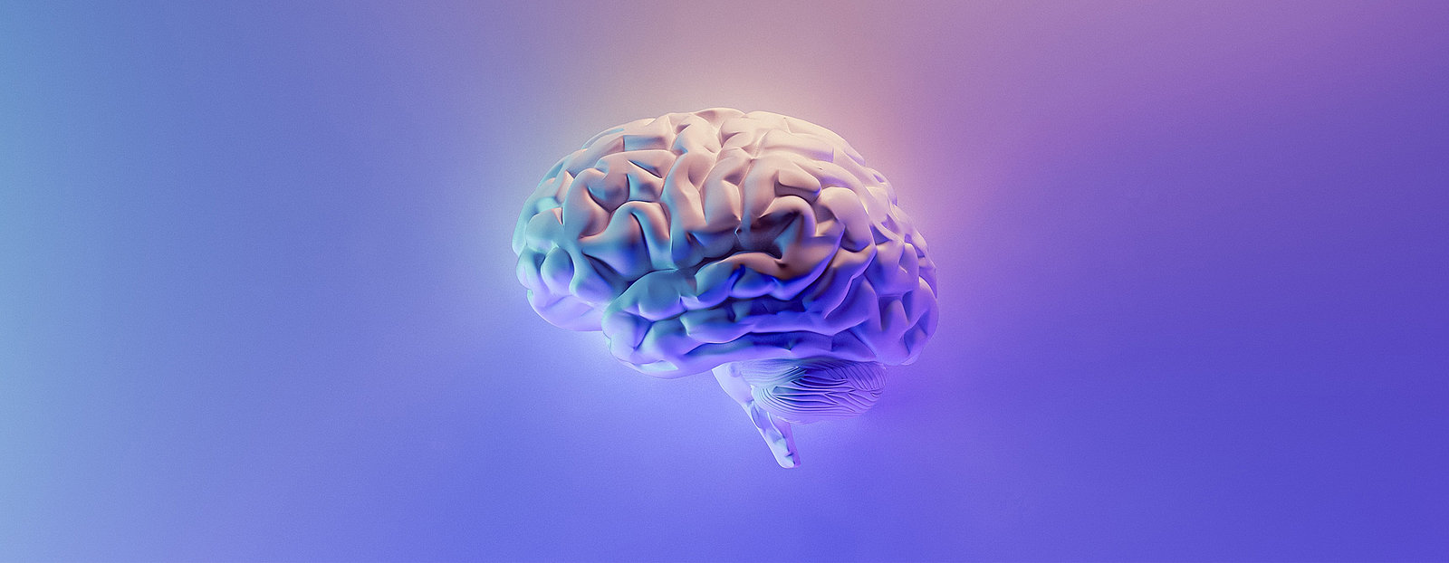 Personas & Google Data Studio