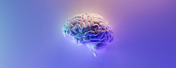 Personas & Google Data Studio