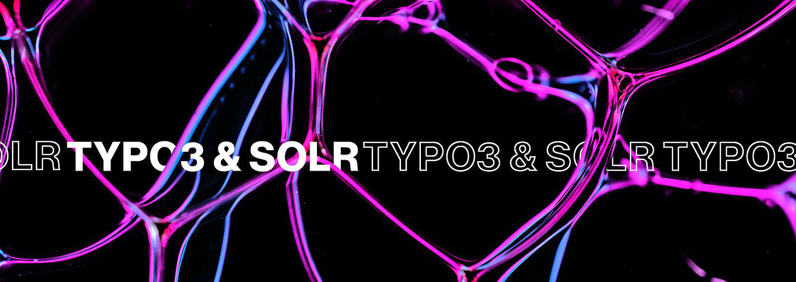 Ein neuronales Netz, dass eine Suche visualisiert